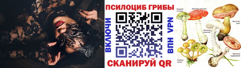Купить закладки  Астрахань  Галлюциногенные грибы Psilocybine cubensis 